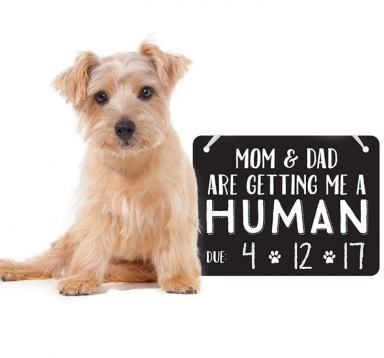 Pearhead - Pet's Baby Announcement